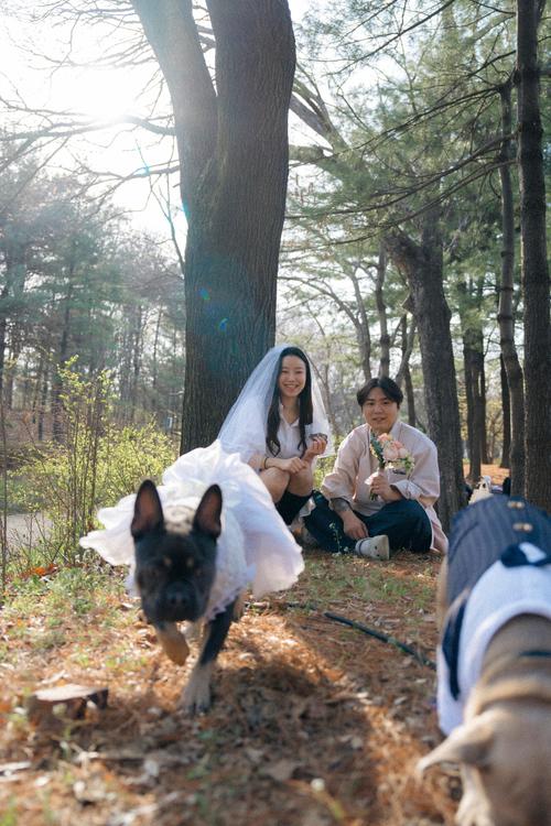 백포토 작품