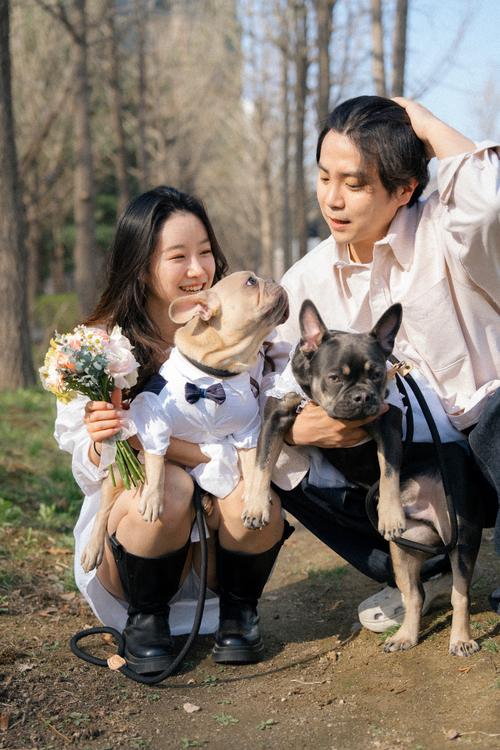 백포토 작품