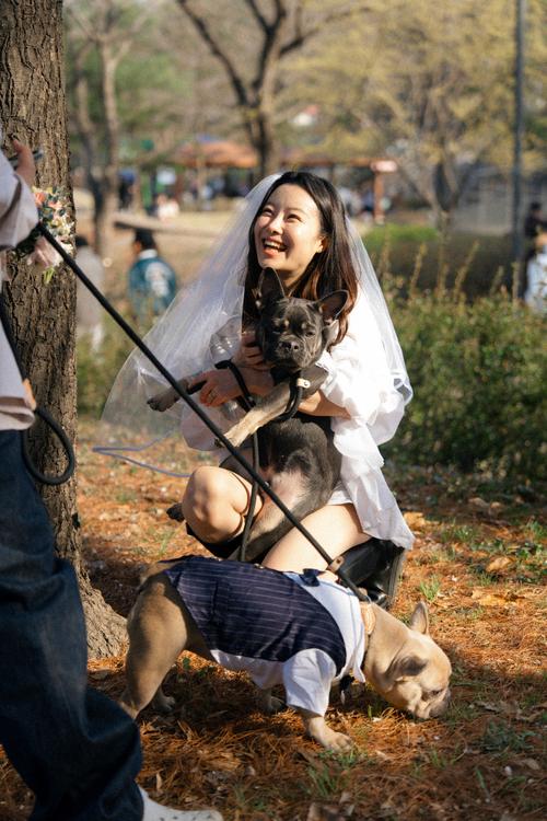 백포토 작품