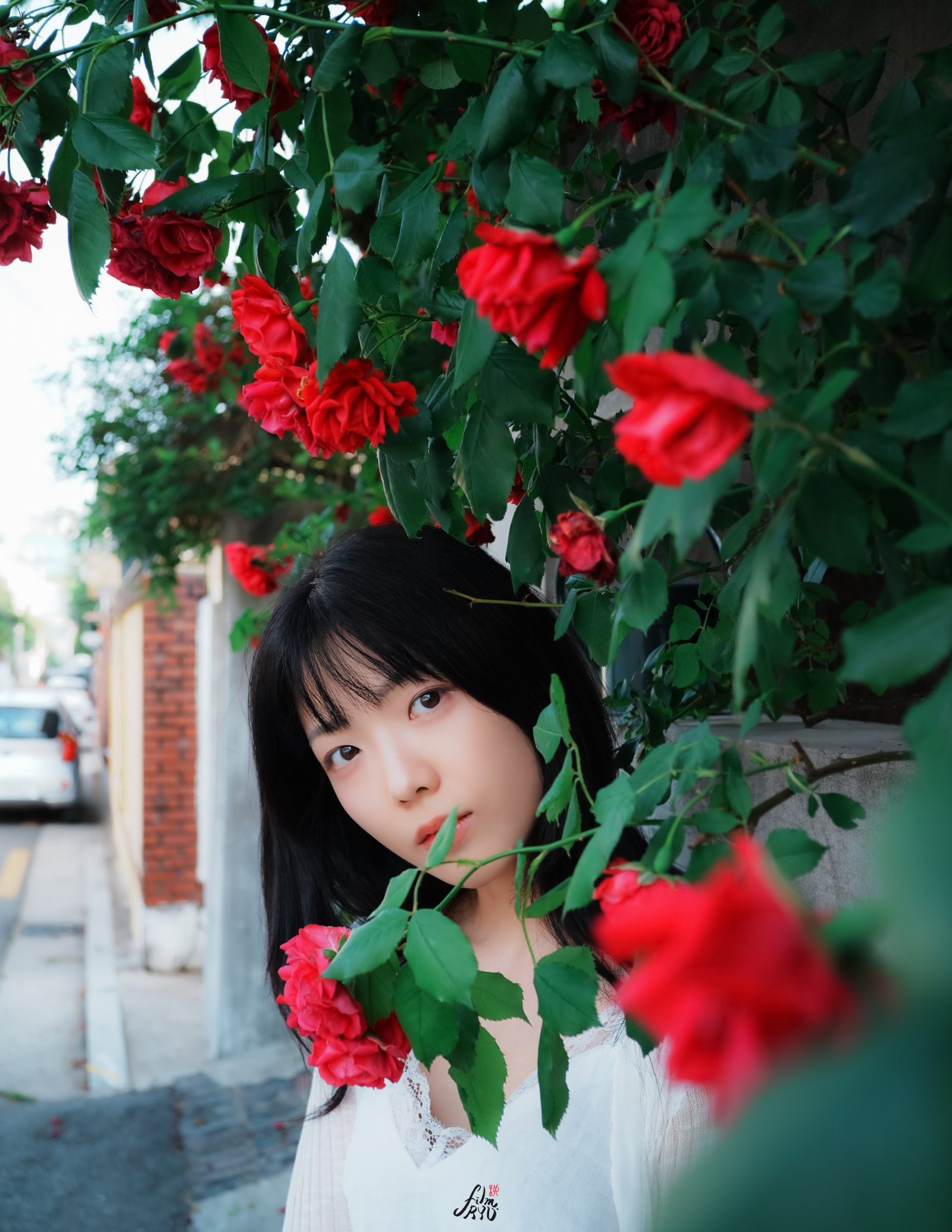 중량천, 연남동, 행궁동 등 수도권 장미 스팟.에서 찍은 장미 · 장미스냅 무드 스냅 사진