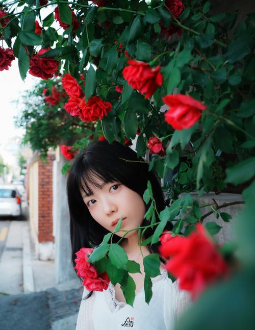 추천 사진