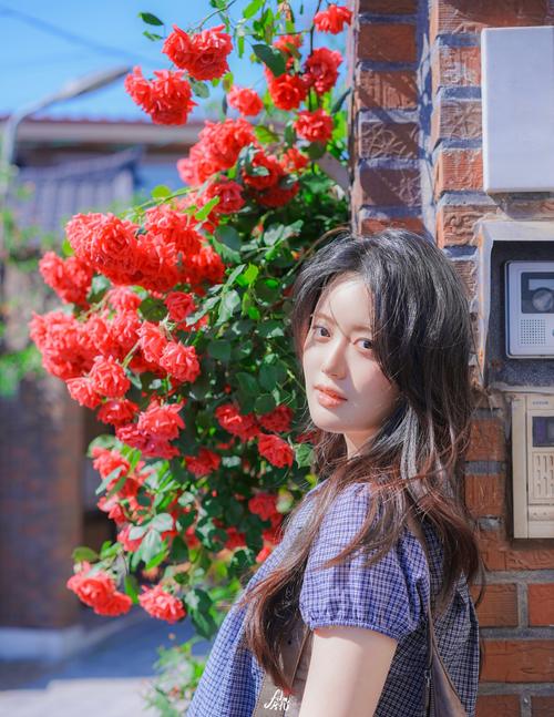 추천 사진