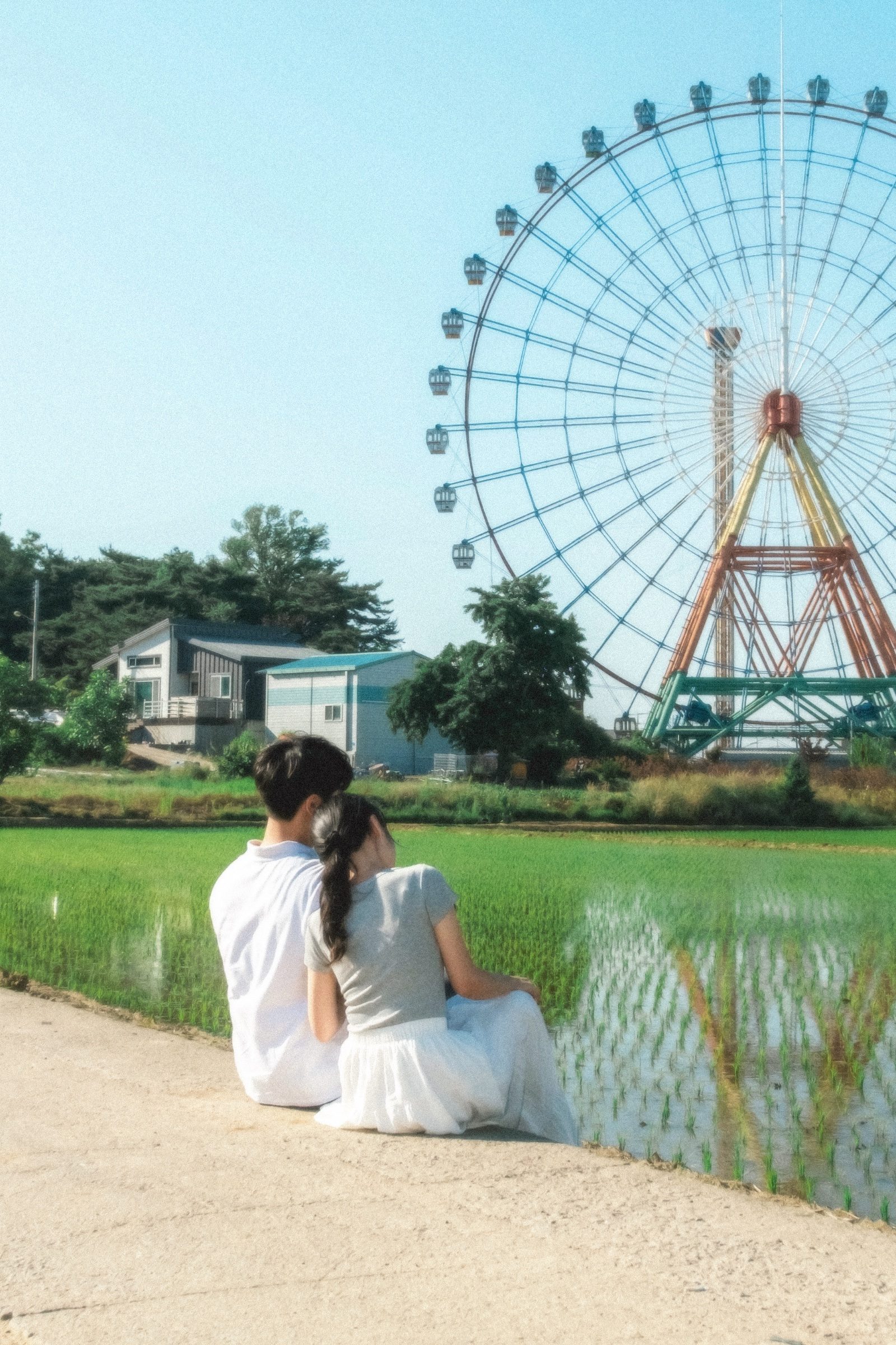 충남에서 찍은 농촌 · 커플사진 무드 스냅 사진
