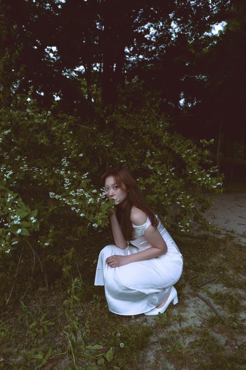 베라치노 작품