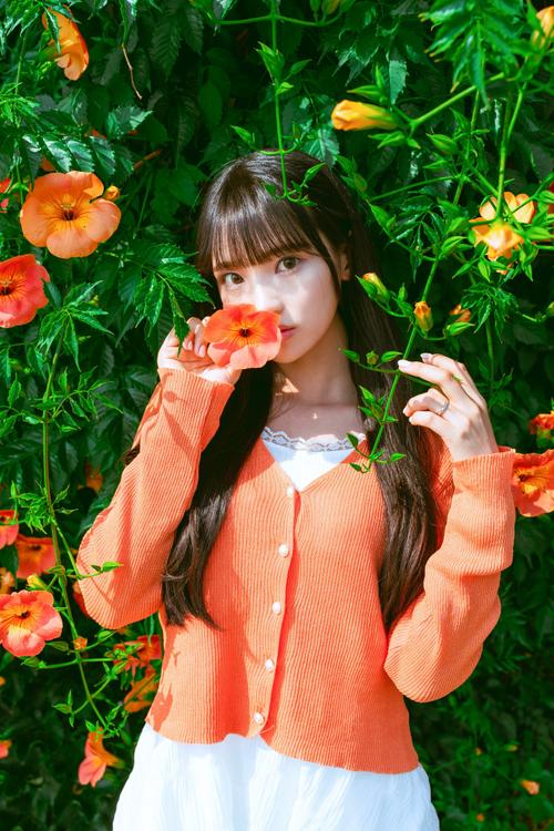 베라치노 작품 · 능소화, 능소화스냅, 여름스냅