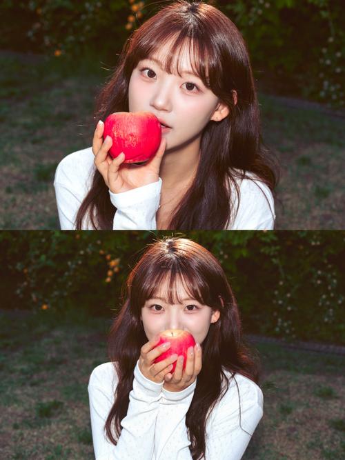 베라치노 작품