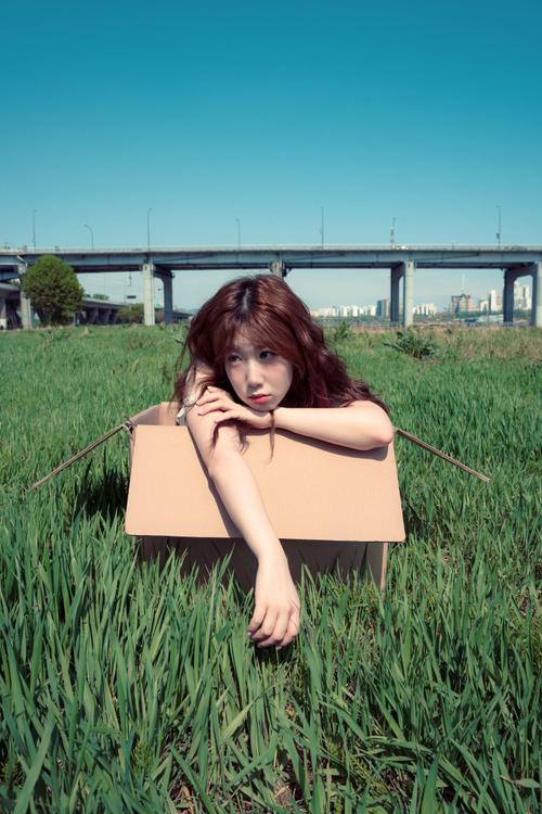 베라치노 작품