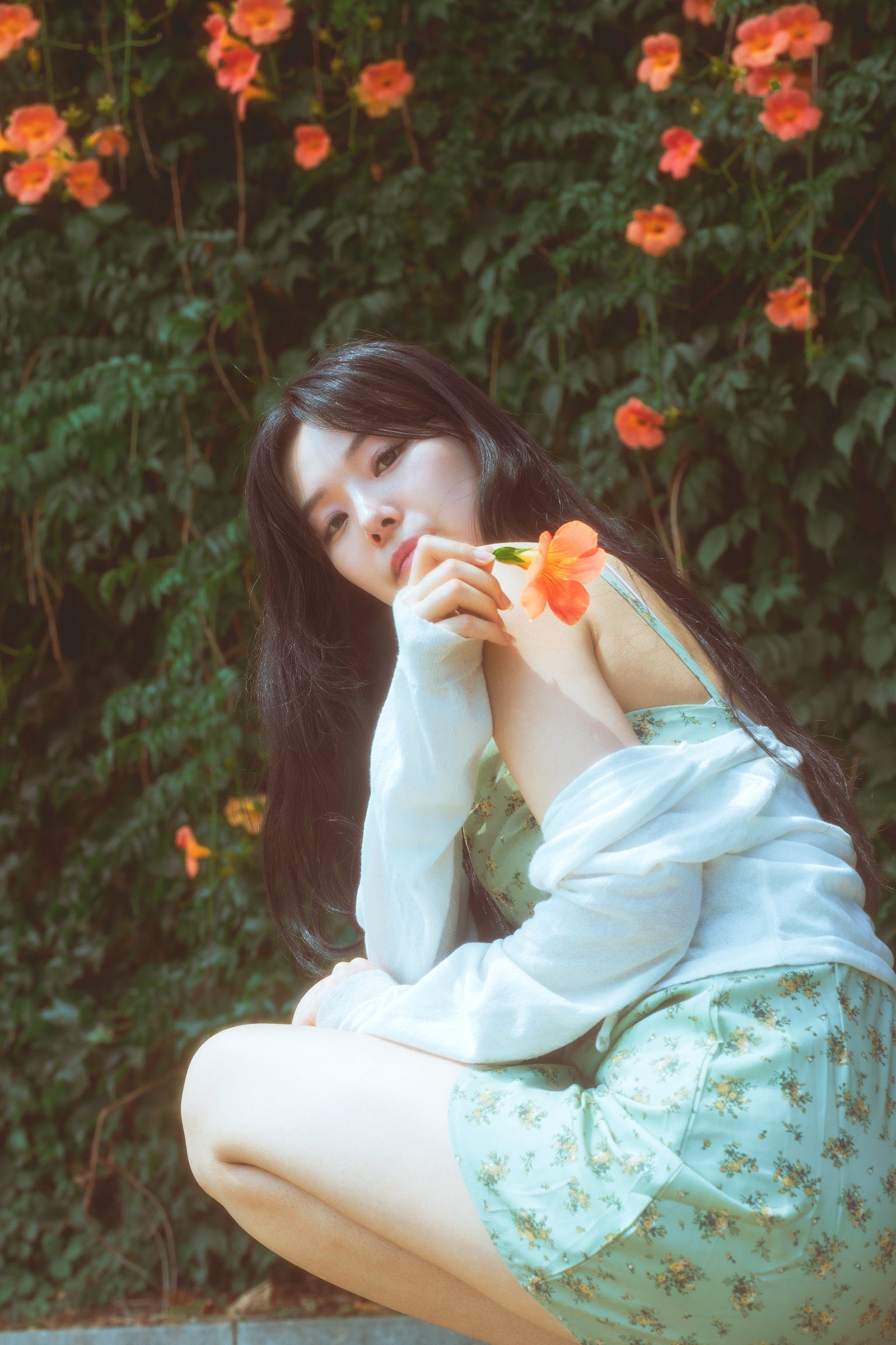 뚝섬한강공원에서 찍은 능소화 · 능소화스냅 무드 스냅 사진