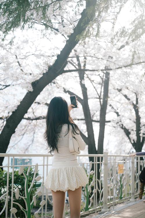 Fadin’ Photo 작품