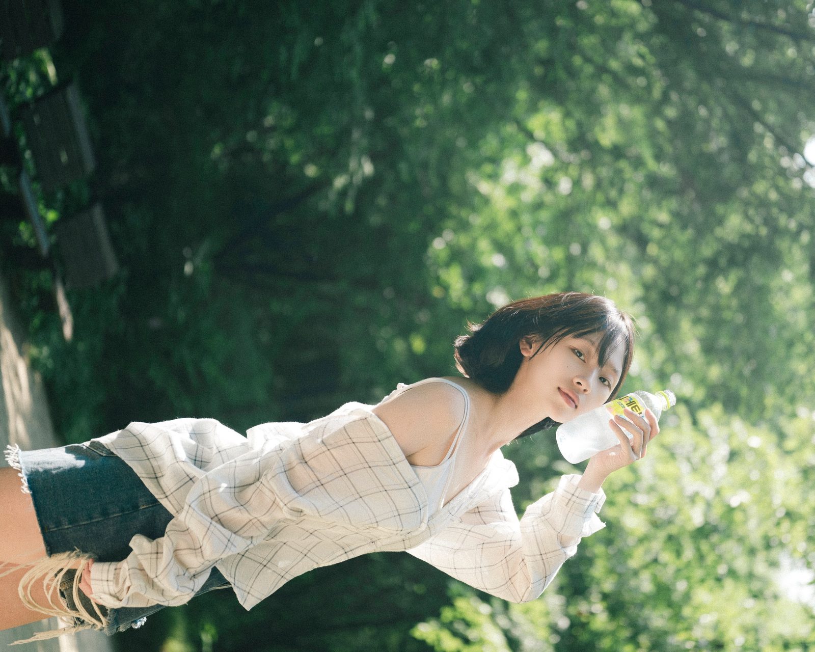 사진 16/54