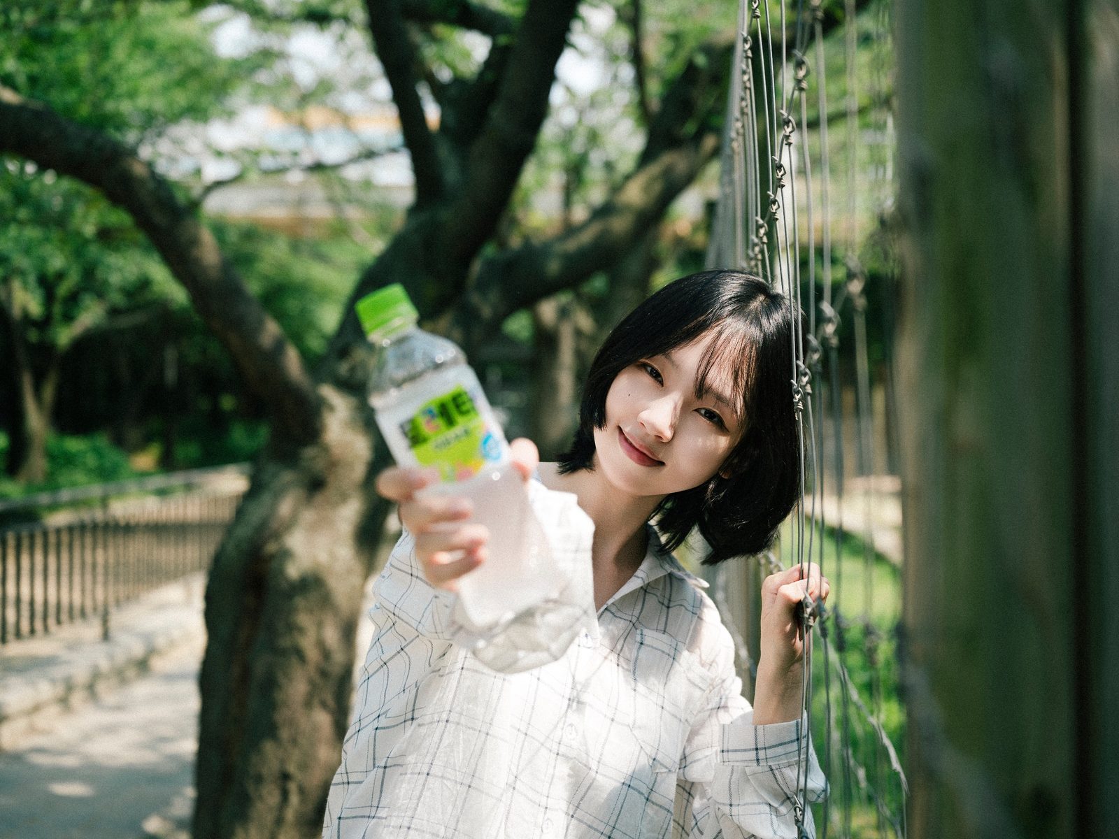 사진 26/54