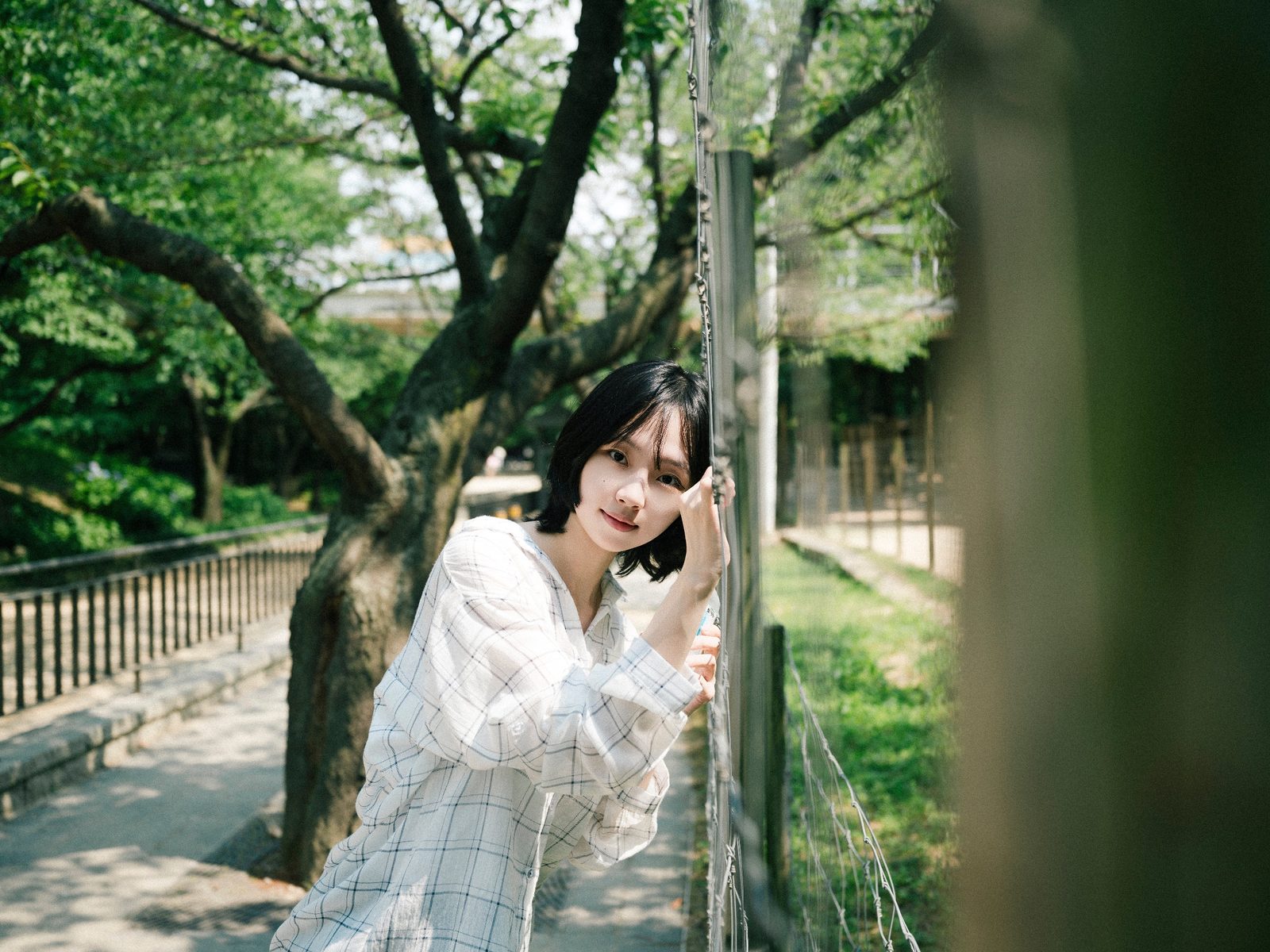 사진 29/54