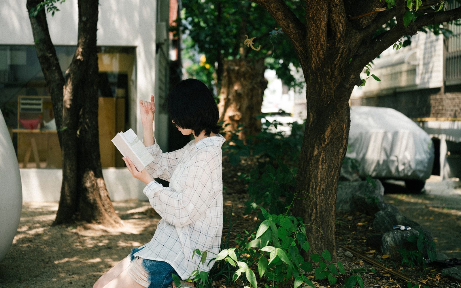 사진 44/54
