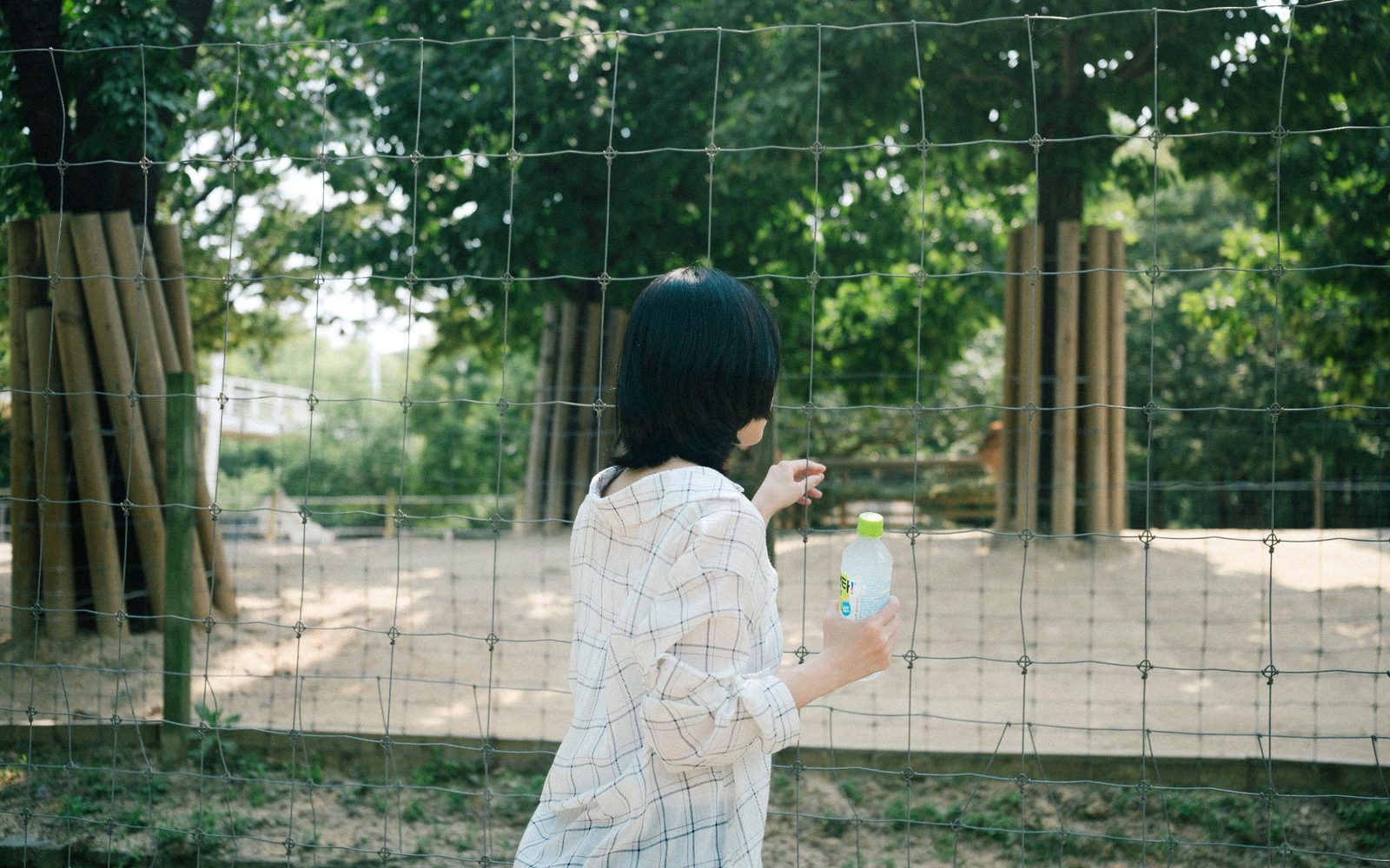 사진 31/54