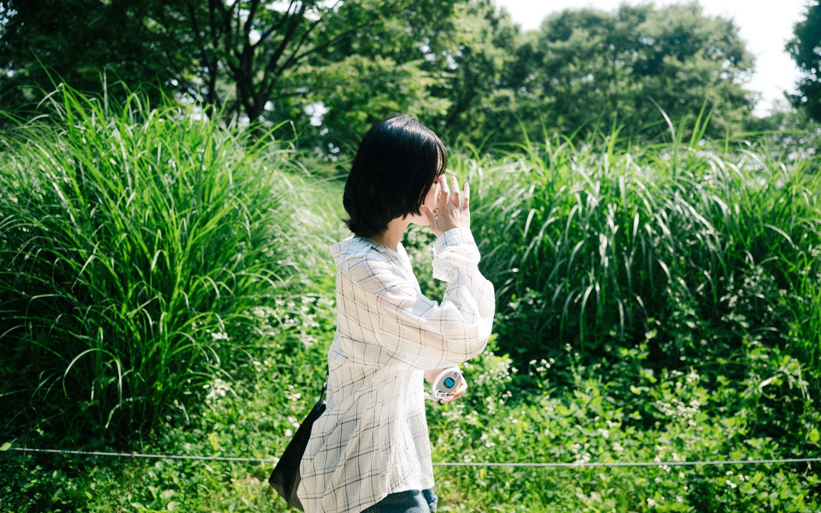 사진 32/54