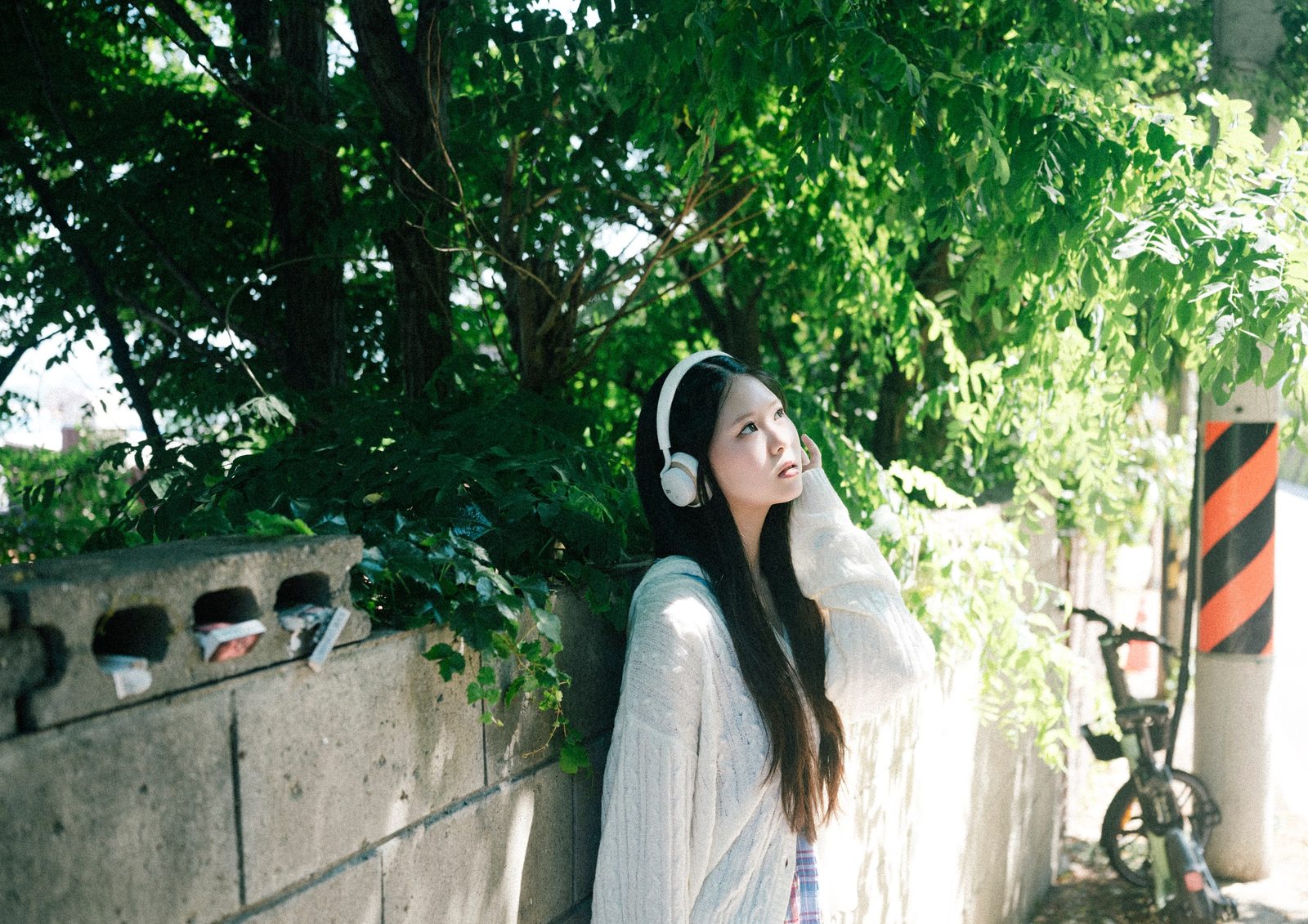 사진 44/47