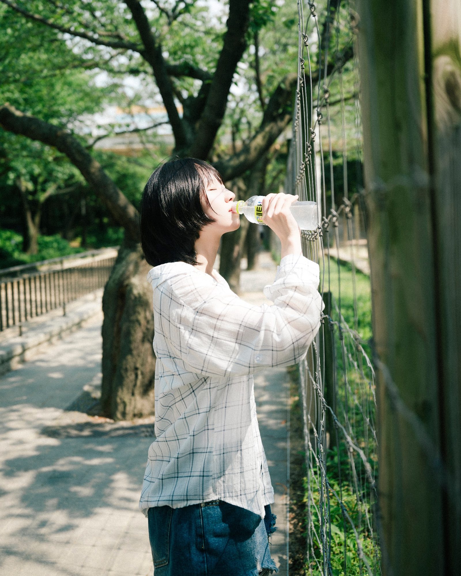 사진 27/54