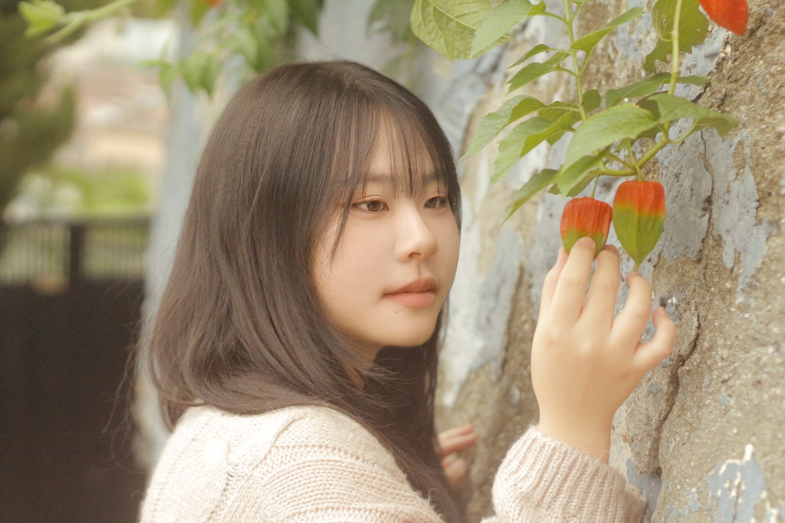 성북천에서 찍은 빈티지카메라 · 필름카메라 무드 스냅 사진